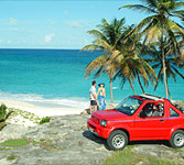 Car Rentals